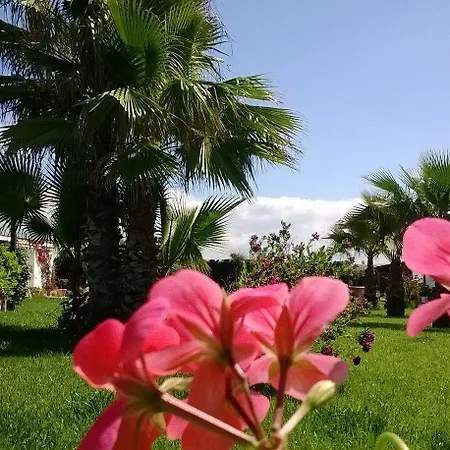 Lido Impero 3* פלאג'אנו