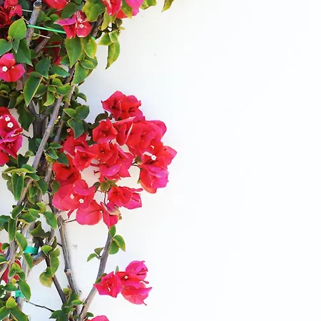 Lido Impero 3* Palagiano